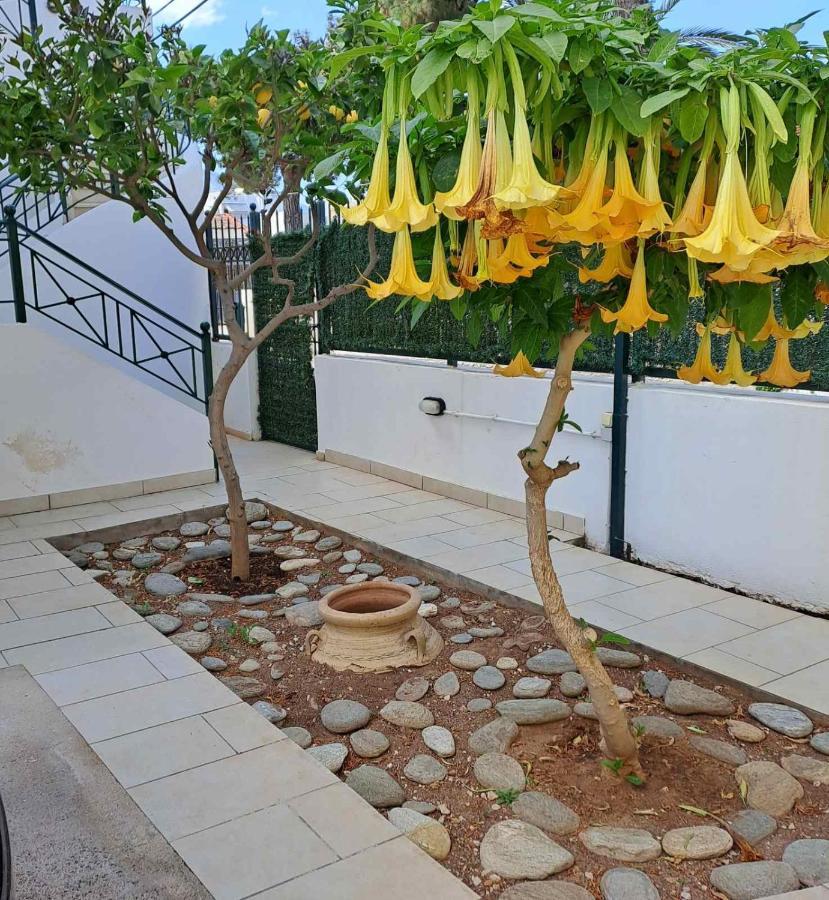 Dimitris Place Near Athens Airport Koropion Bagian luar foto
